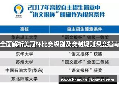 全面解析美冠杯比赛级别及赛制规则深度指南