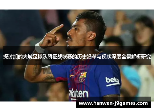 探讨加的夫城足球队所征战联赛的历史沿革与现状深度全景解析研究