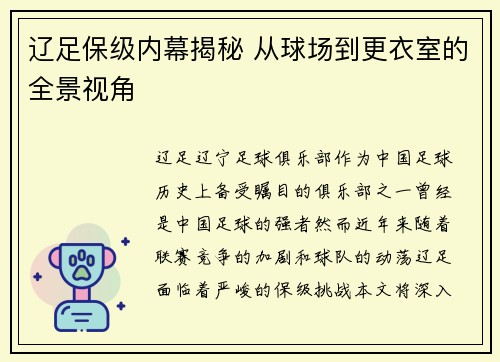 辽足保级内幕揭秘 从球场到更衣室的全景视角