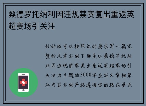 桑德罗托纳利因违规禁赛复出重返英超赛场引关注