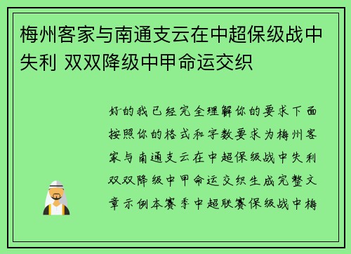 梅州客家与南通支云在中超保级战中失利 双双降级中甲命运交织